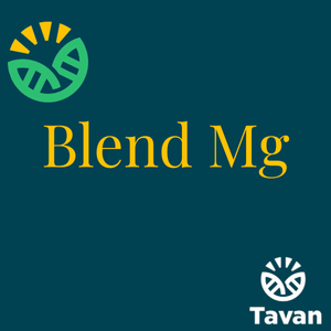 Blend Mg