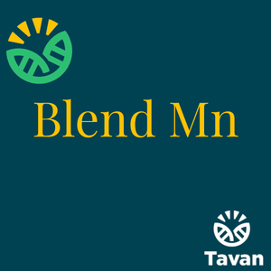 Blend Mn