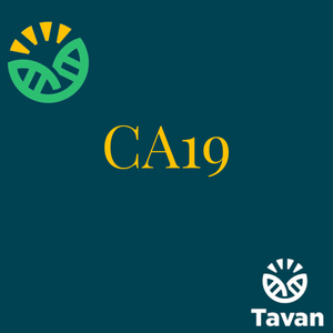 CA19