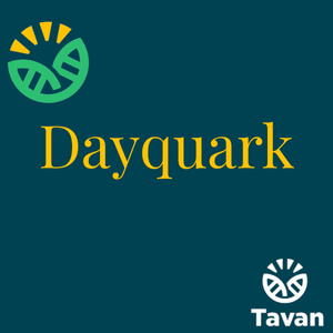 Dayquark