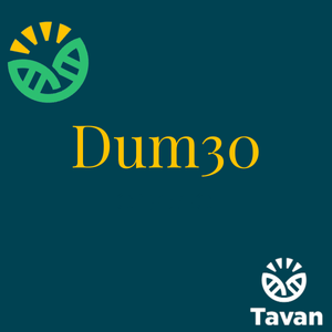 Dum30