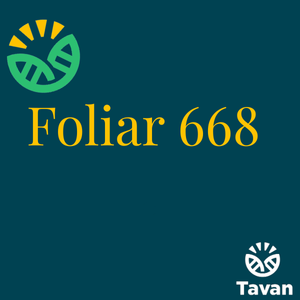 Foliar 668