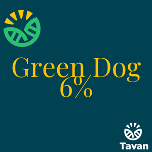Green Dog 6%