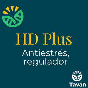 HD Plus