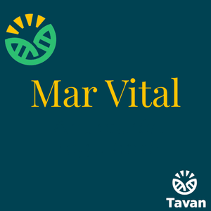 Mar Vital