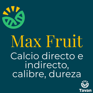 Max Fruit