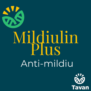 Mildiulin Plus