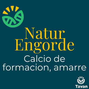 Natur Engorde