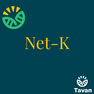 Net-K