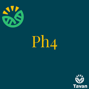 Ph4