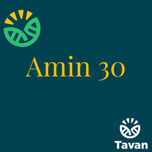 Amin 30