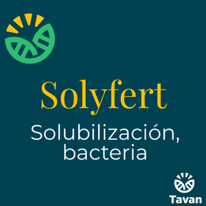 Solyfert