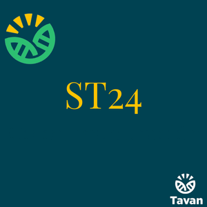 ST24