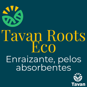 Tavan Roots Eco