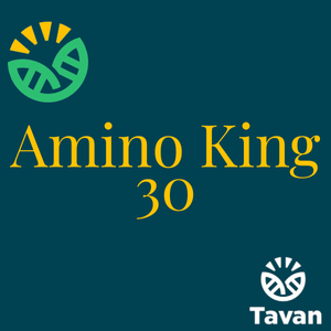 Amino King 30