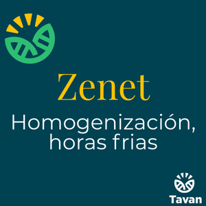 Zenet