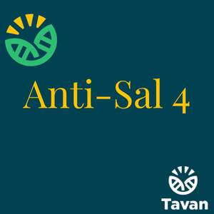Anti-Sal 4